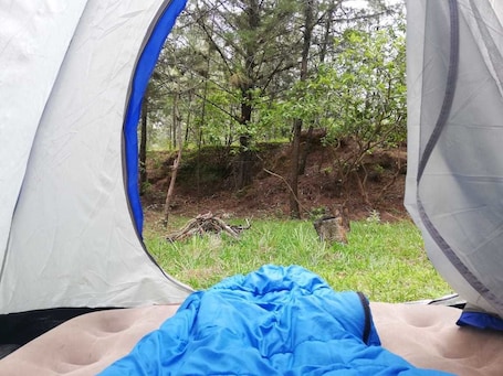 Room. Casa Don Gil - Campsite