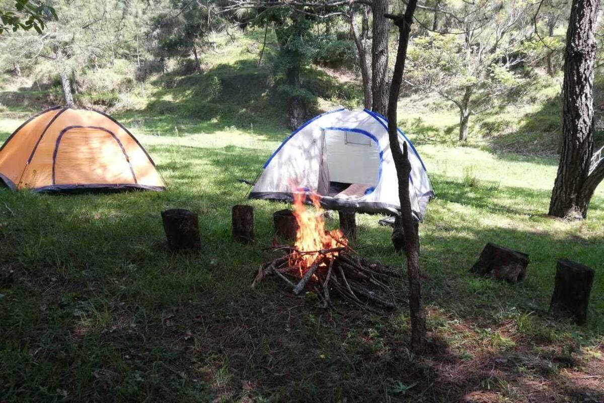 Two tents in a forested area with a campfire between them.