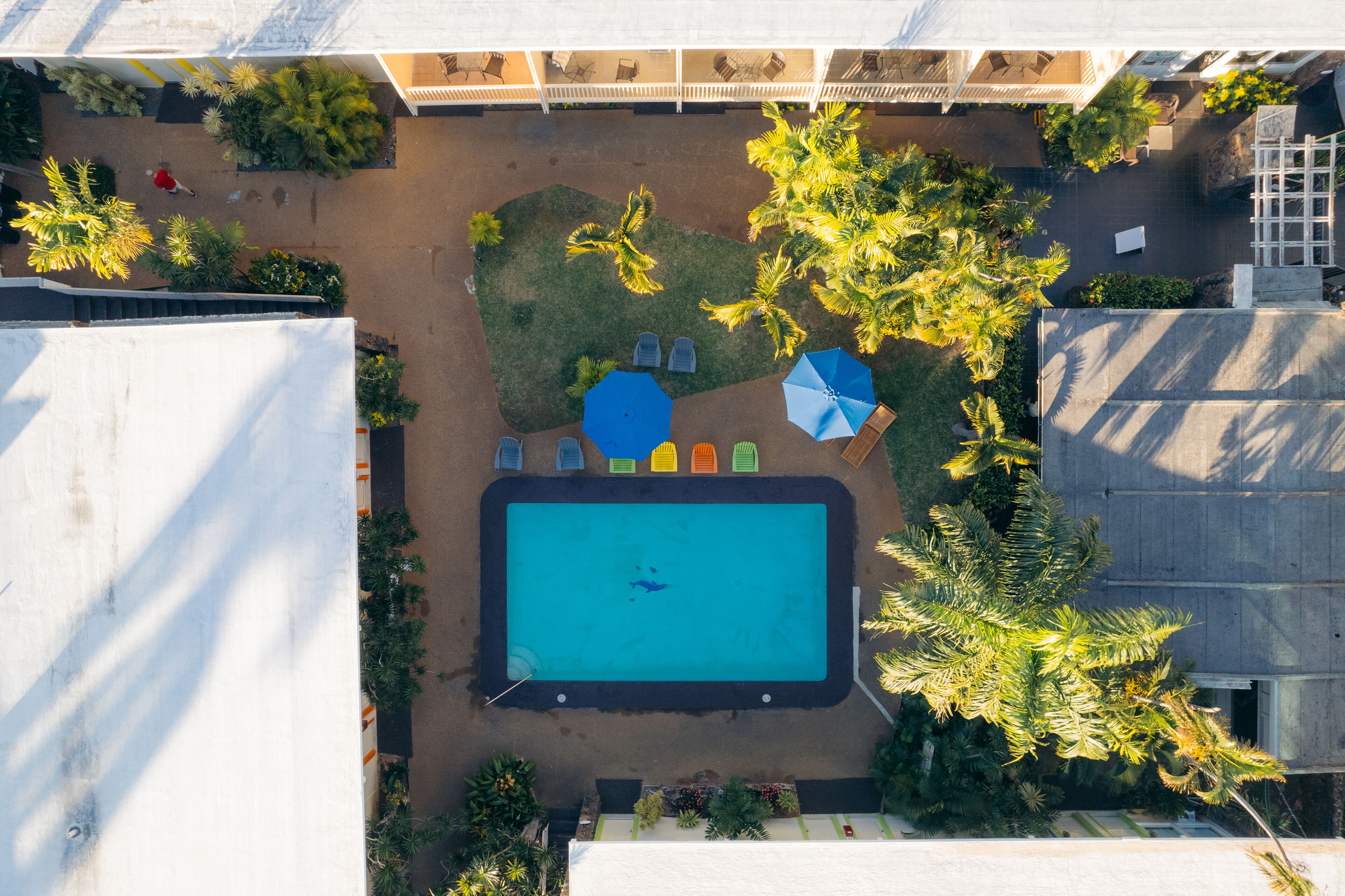 Photo - Waikiki Heritage Hotel
