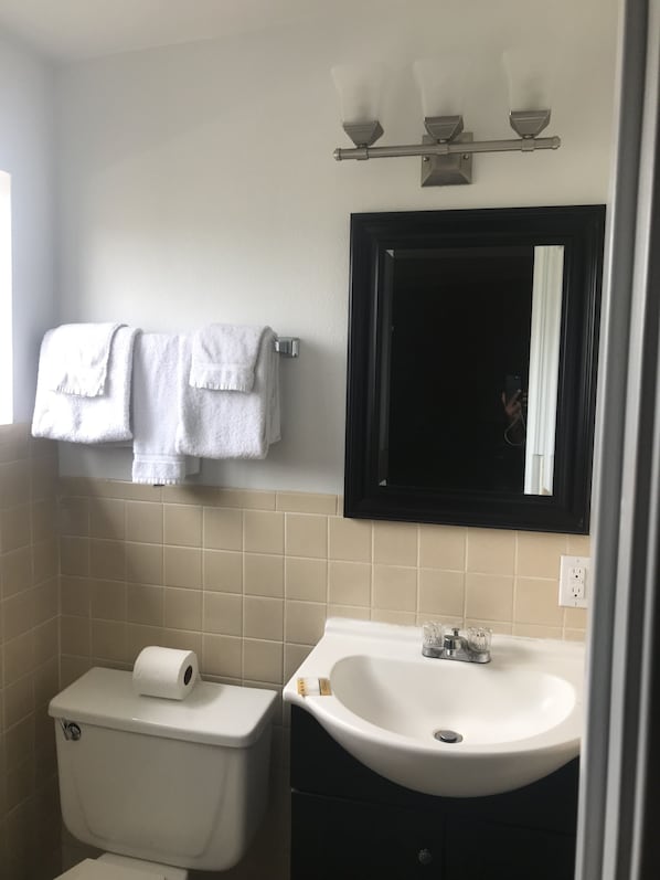 Un baño con inodoro, lavamanos y espejo.