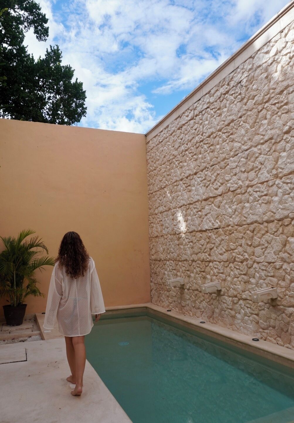 A person walking towards a pool in a courtyard with a stone wall and a palm tree.