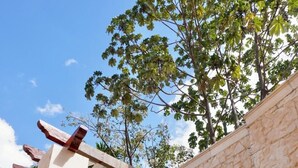 A stone wall with a wooden pergola structure, surrounded by lush greenery and a clear blue sky. - Casa Tavera (Mérida)