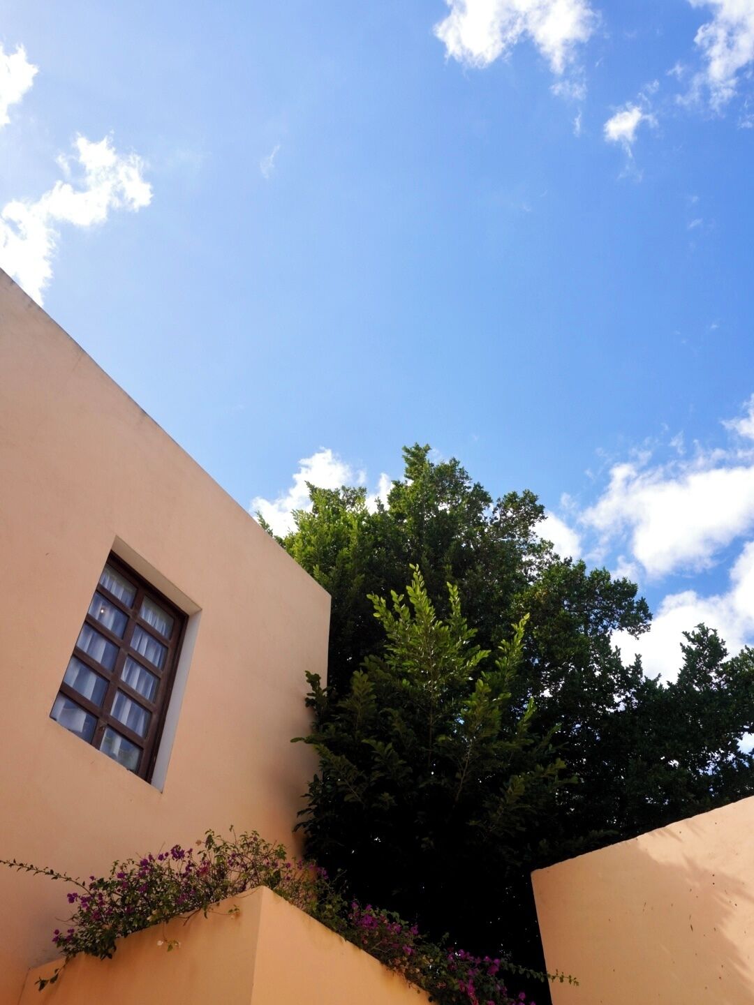 A building with a window and a wall covered in purple flowers.
