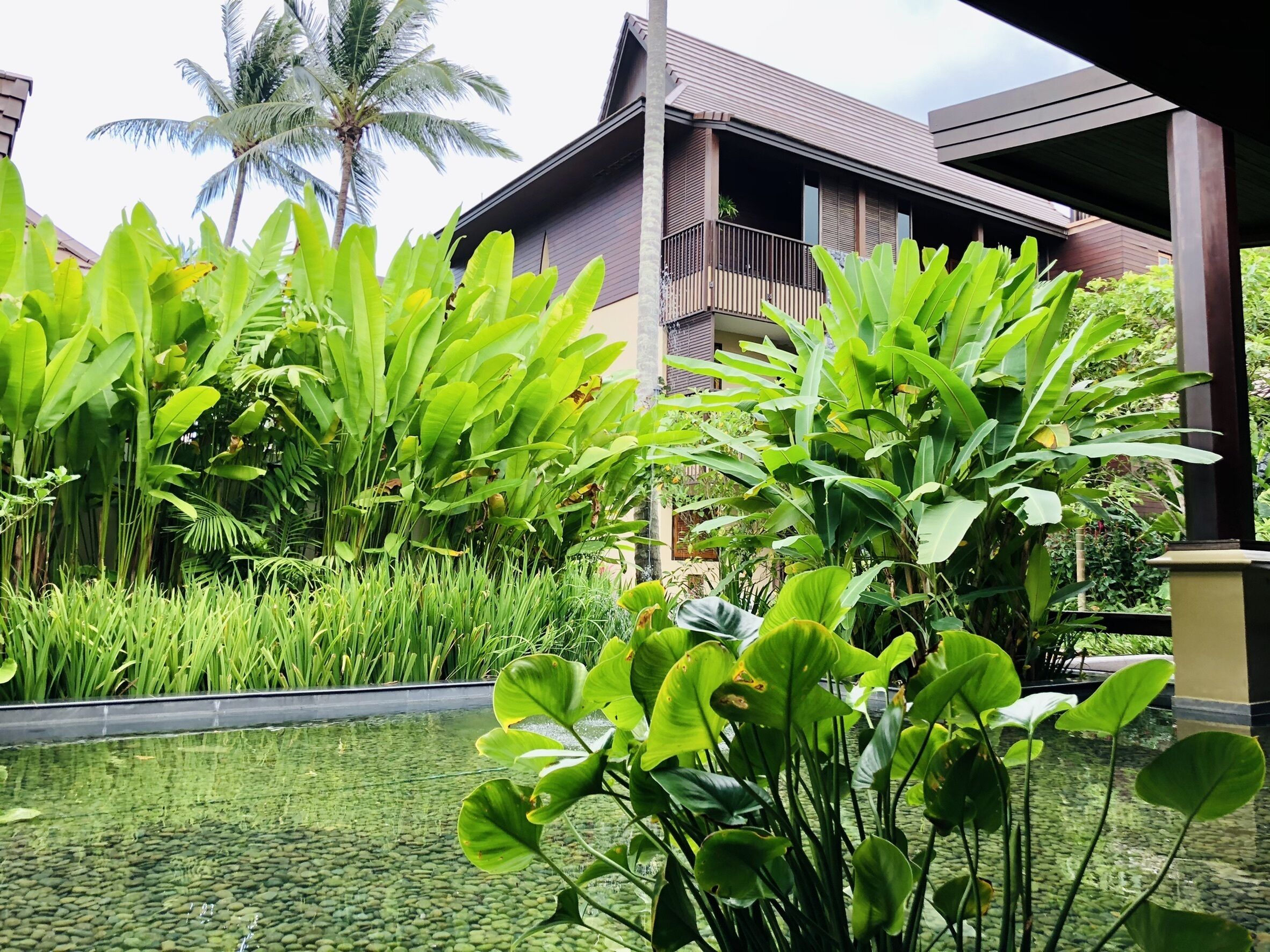A modern building with a balcony overlooking a garden with lush greenery and a clear water feature.
