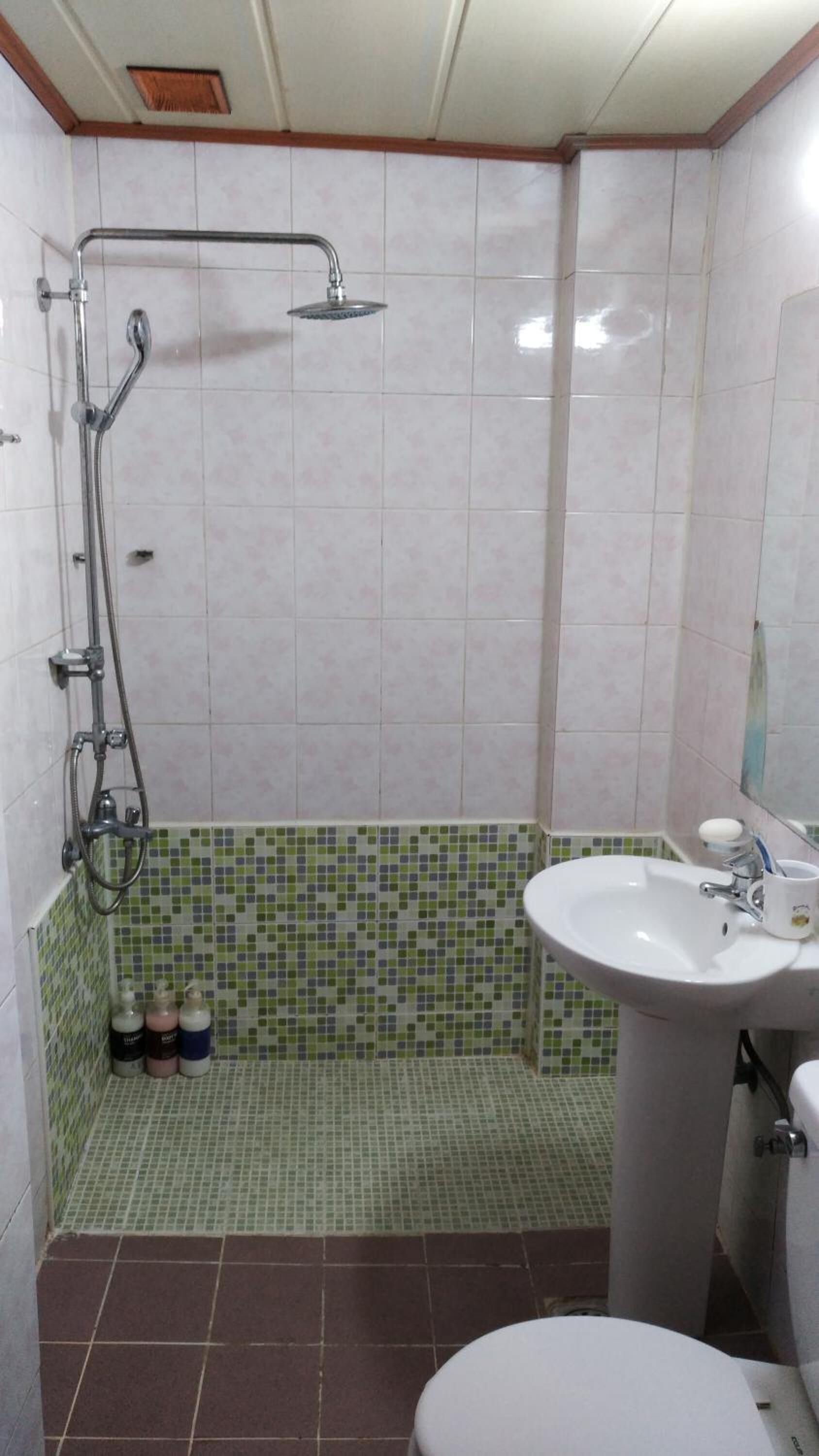 A bathroom with a shower, a sink, and a toilet.