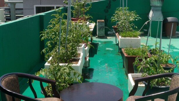 A rooftop terrace with green flooring, potted plants, and two wicker chairs around a small table. - Gumi A Motel (Gumi)