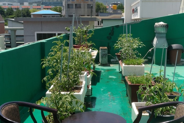Outdoor banquet area