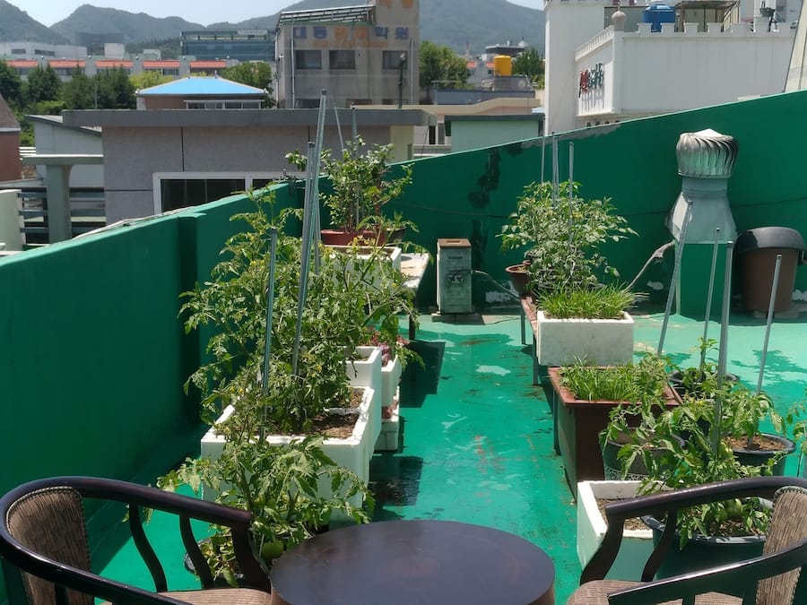 Outdoor banquet area