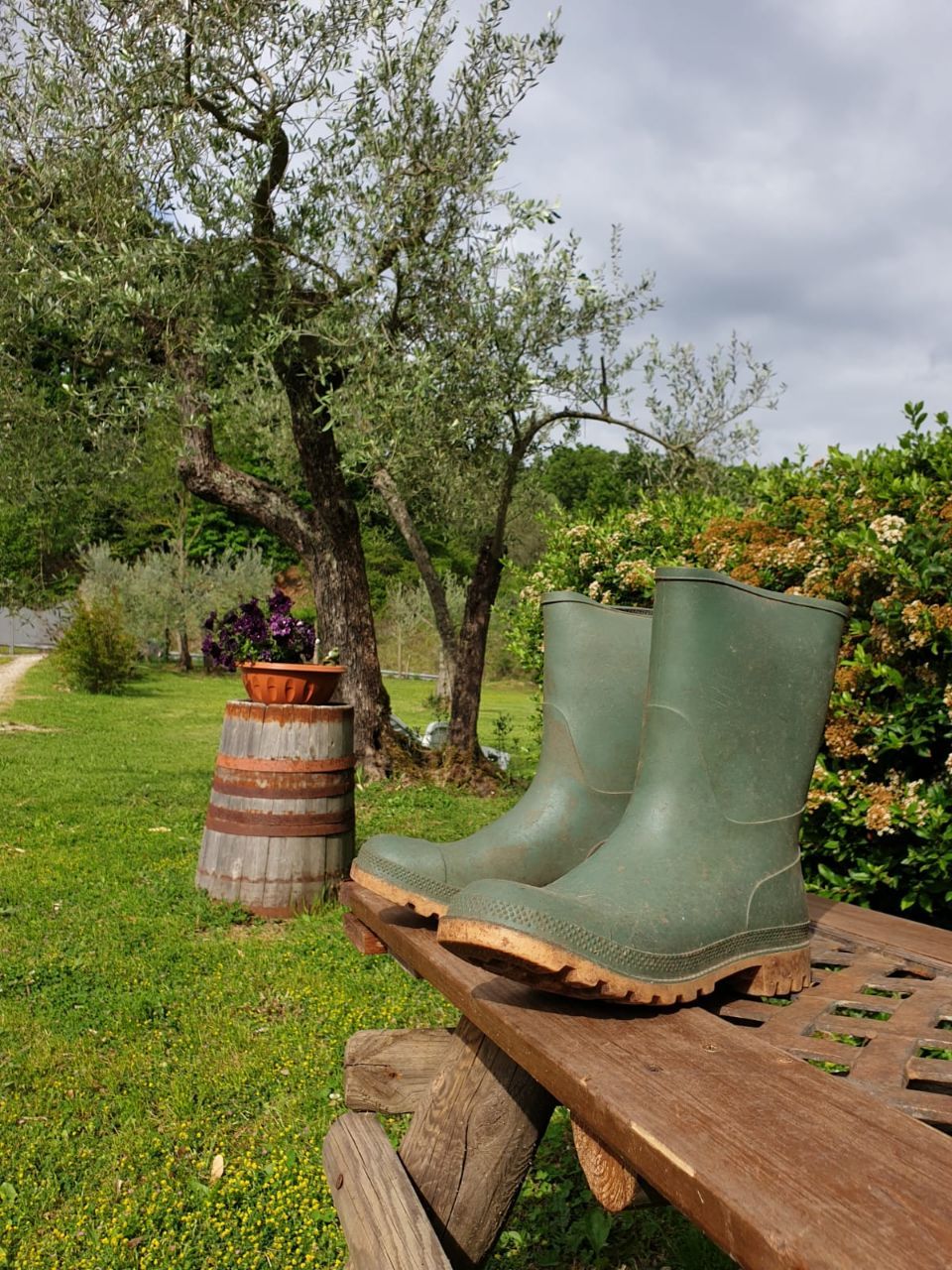 Ein Paar grüne Gummistiefel auf einer hölzernen Bank in einem Garten mit Bäumen und einem Blumentopf.