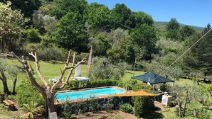 Un giardino sul retro con piscina, un pontile in legno e un'area pranzo con mobili da esterno.