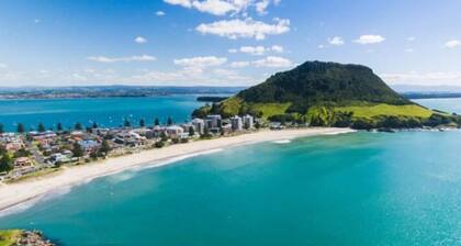Private 2 Bedroom at the Mount main Beach