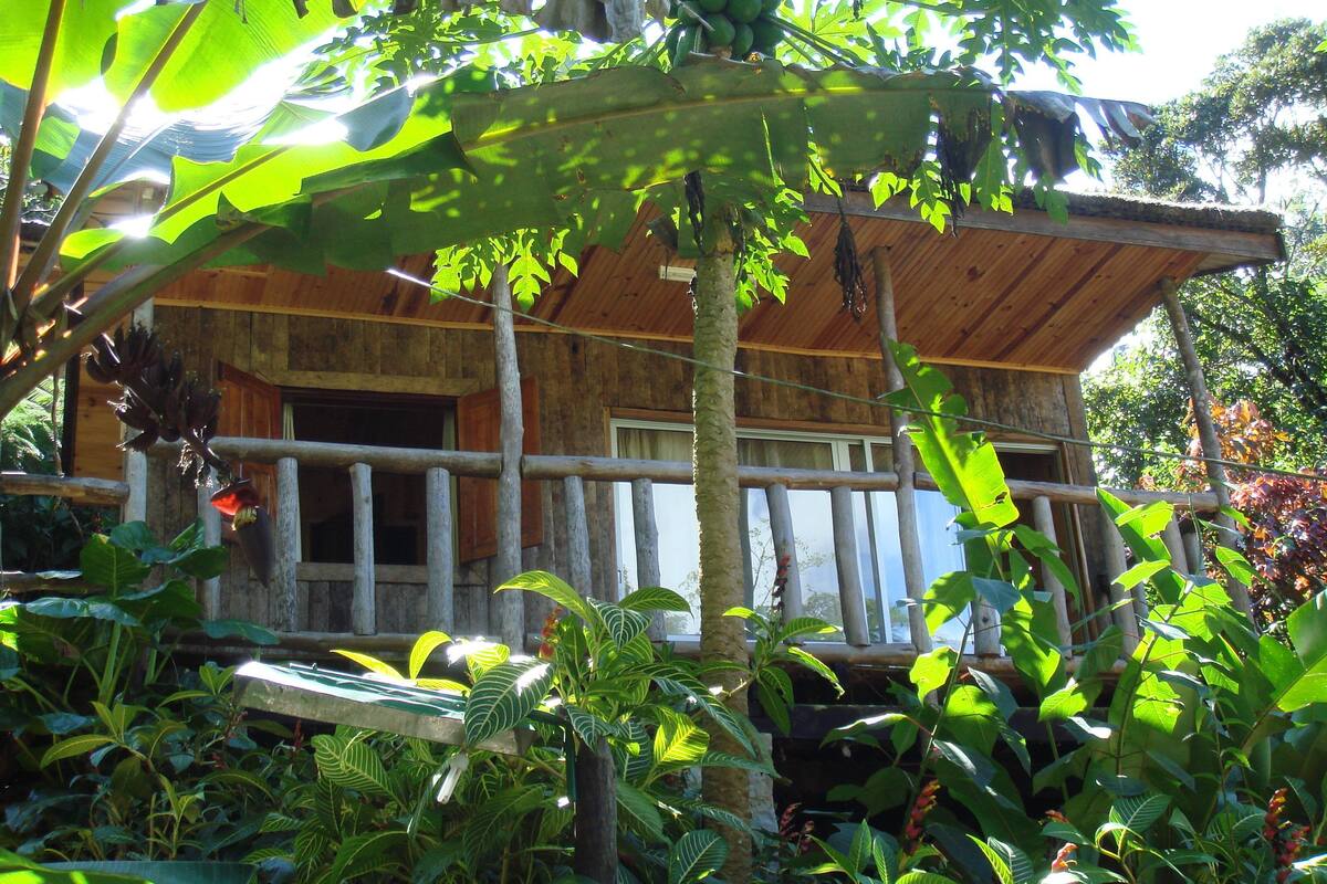 Une cabane en bois dotée d’une véranda, entourée d’une végétation tropicale luxuriante.