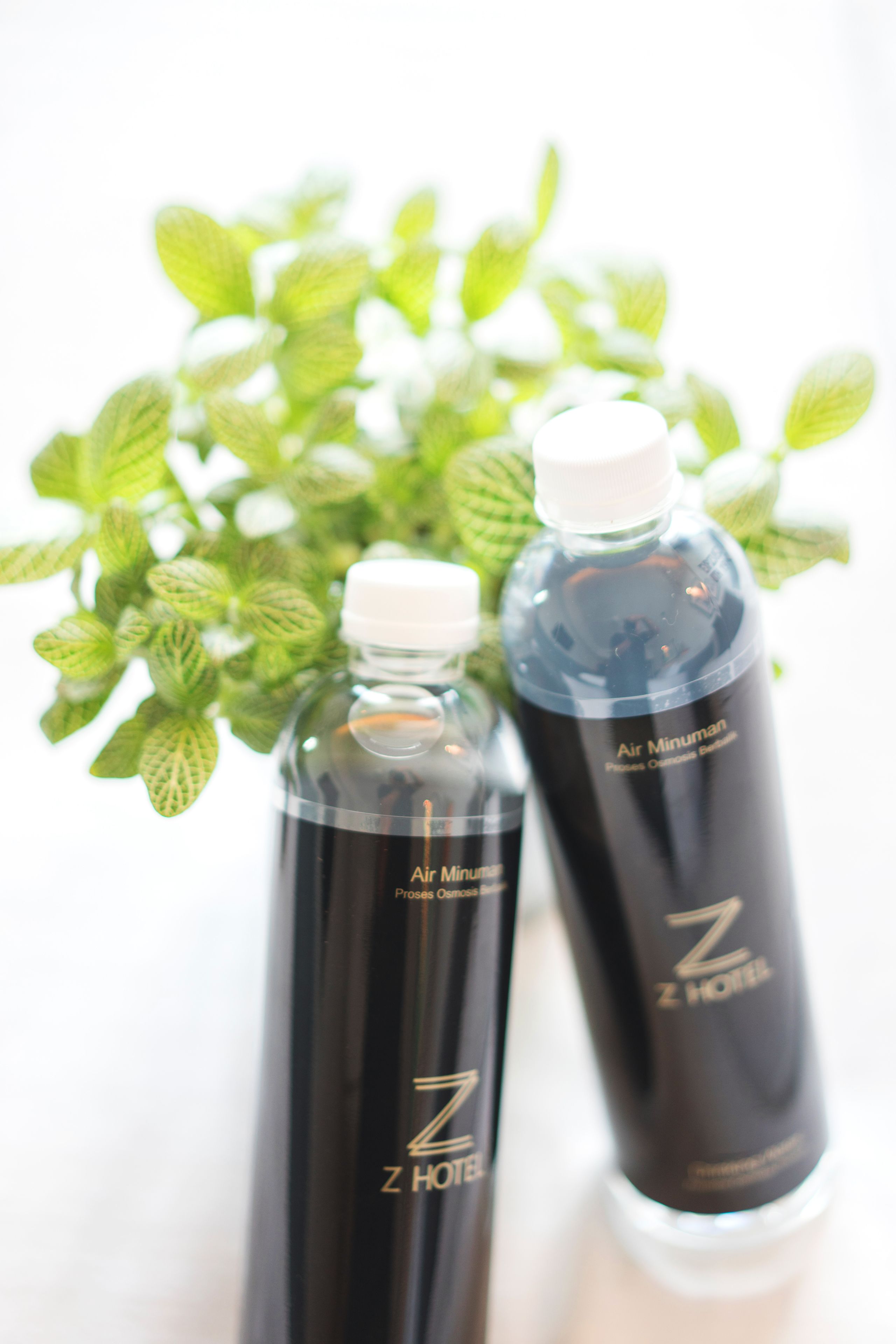 Photo - Z Hotel Johor