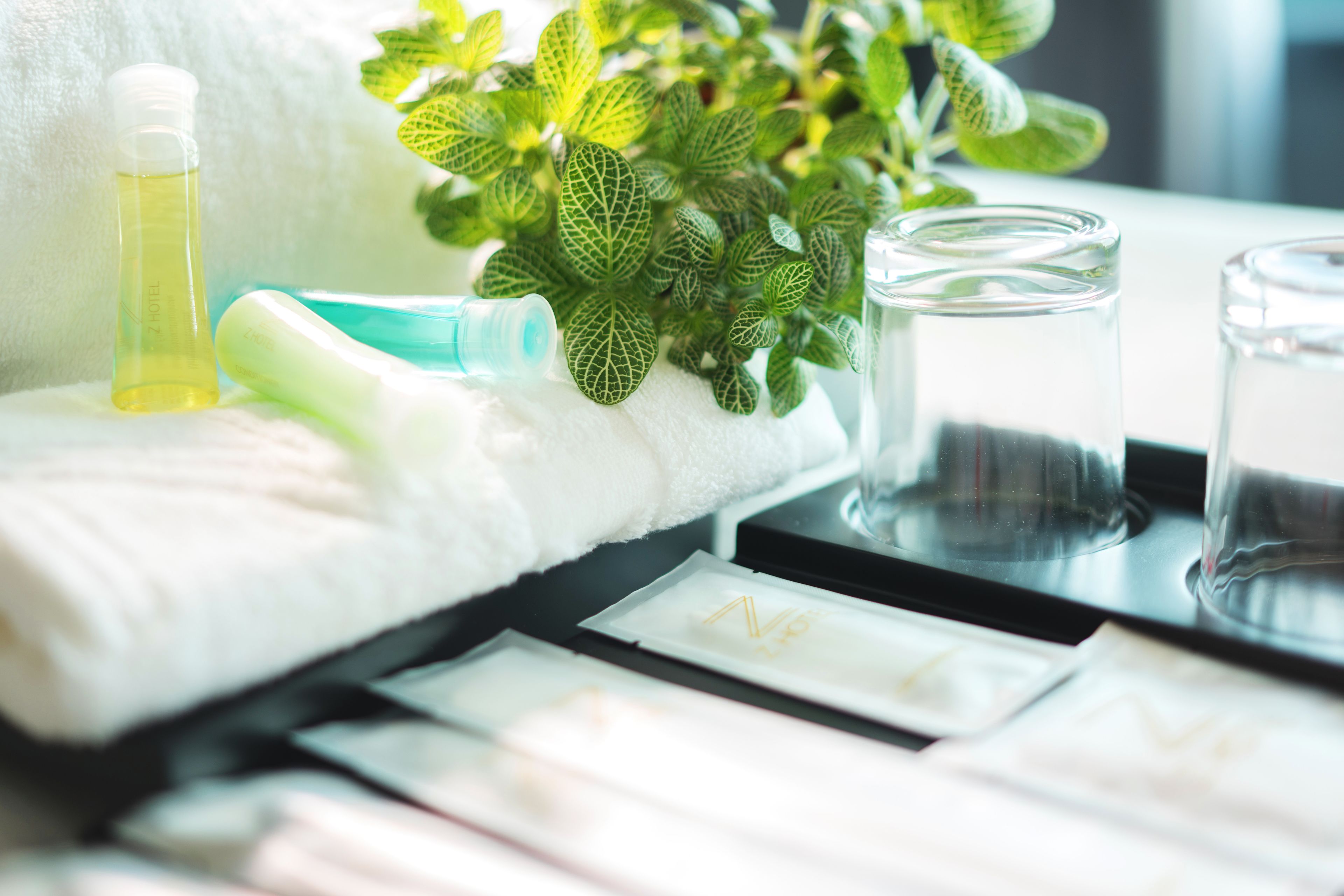 free toiletries, hair dryer, slippers, bidet