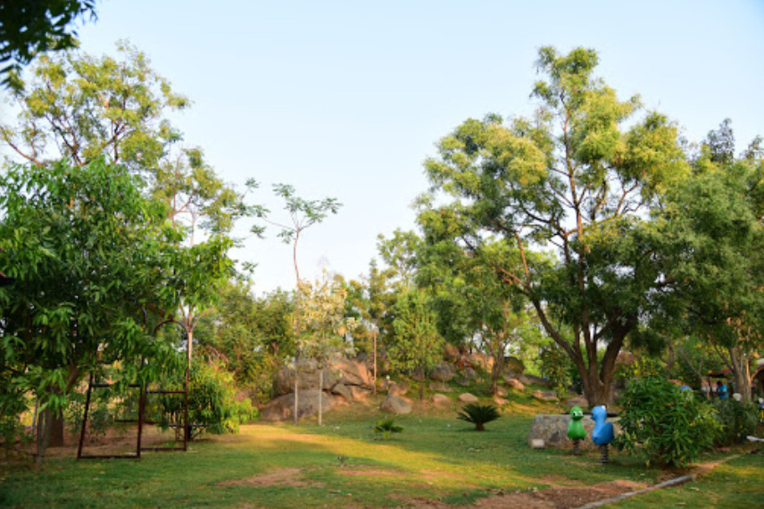 A park with trees, a swing set, and a small pond.