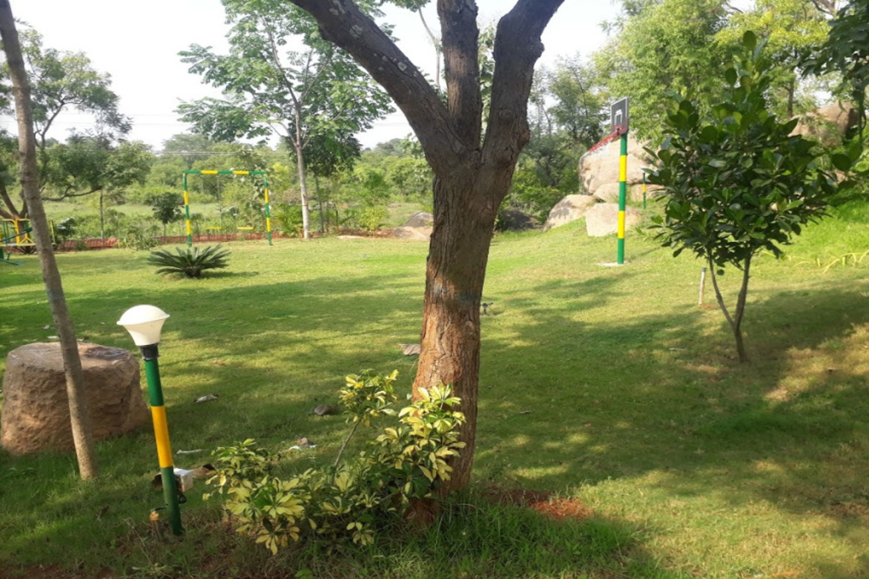 A park with a large tree, a lamp post, and a playground structure.