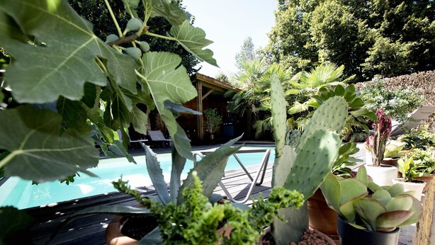 A pool area with various potted plants and a wooden structure in the background. - Une Odeur de Tilleul (Montbrison)