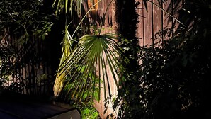 A wooden structure surrounded by dense foliage, possibly a rustic building or shed. - Une Odeur de Tilleul (Montbrison)