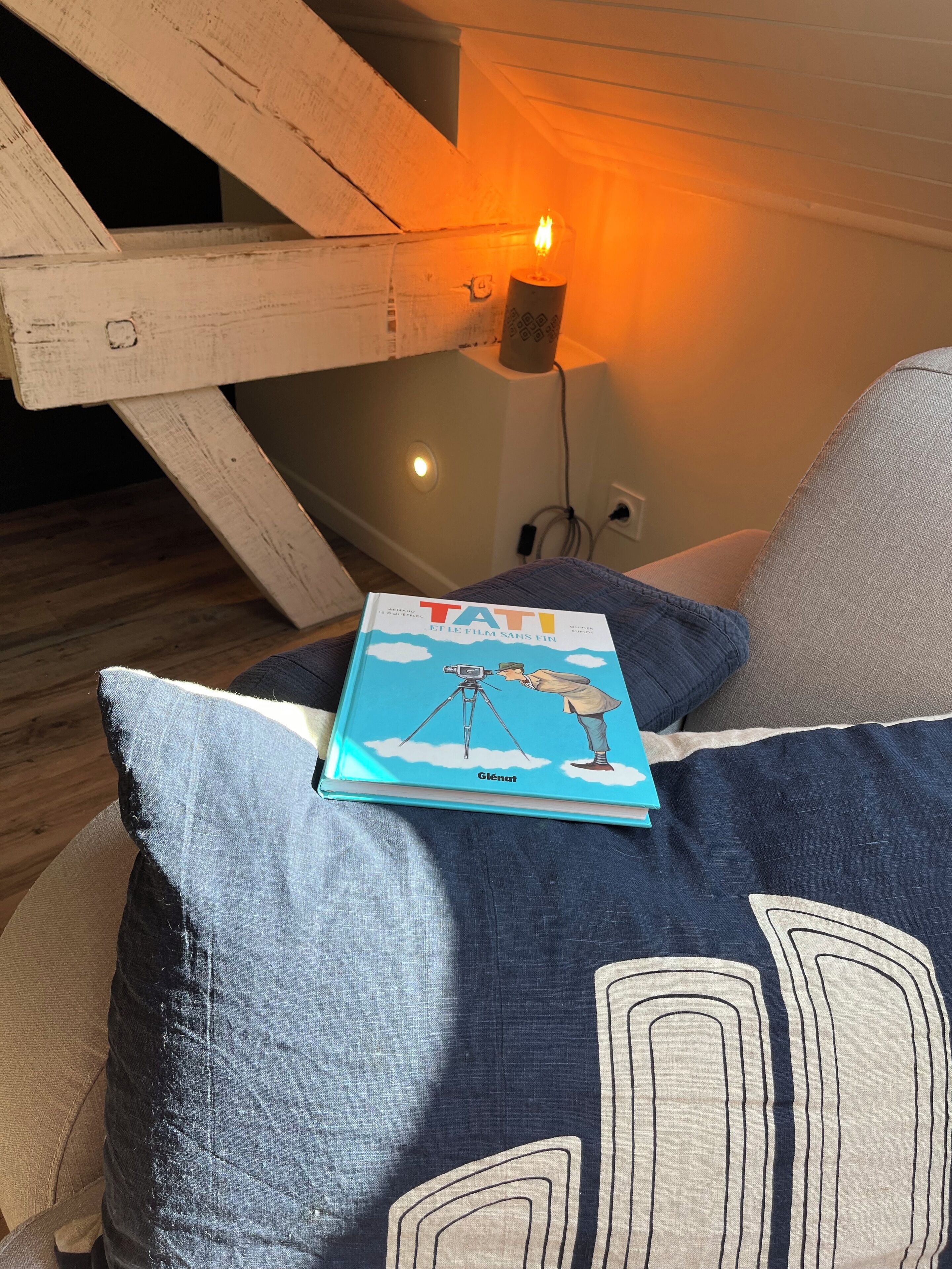 Un llibre anomenat 'TATI' sobre un sofà amb un coixí blau i un almofí amb dibuixos.