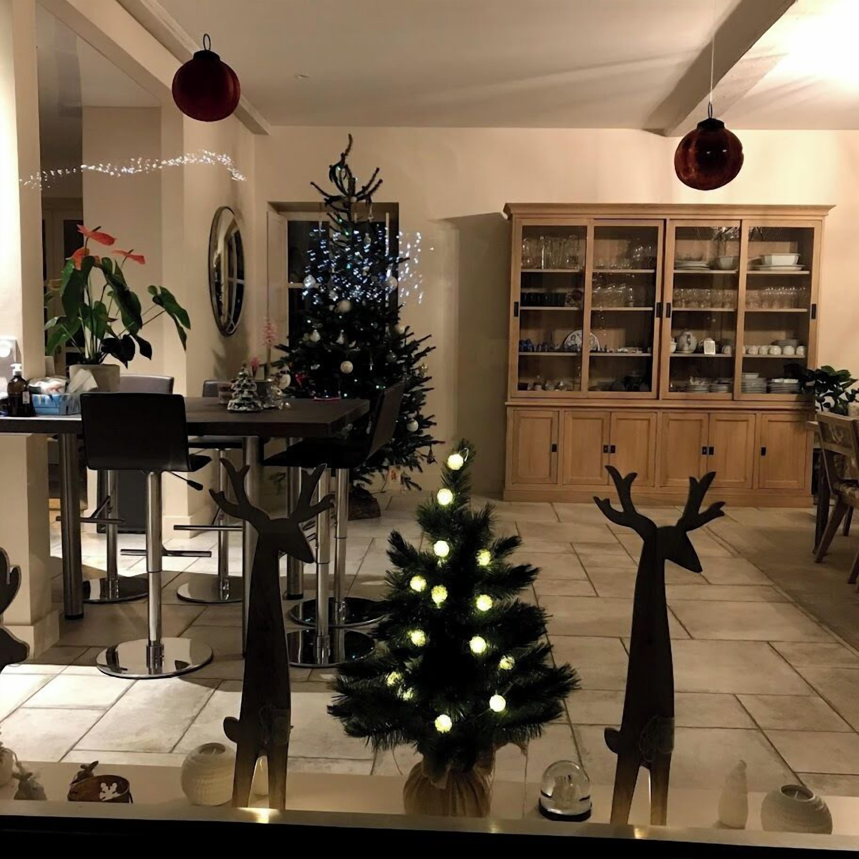 A dining area with a Christmas tree, a cabinet with glass doors, and a dining table with chairs.