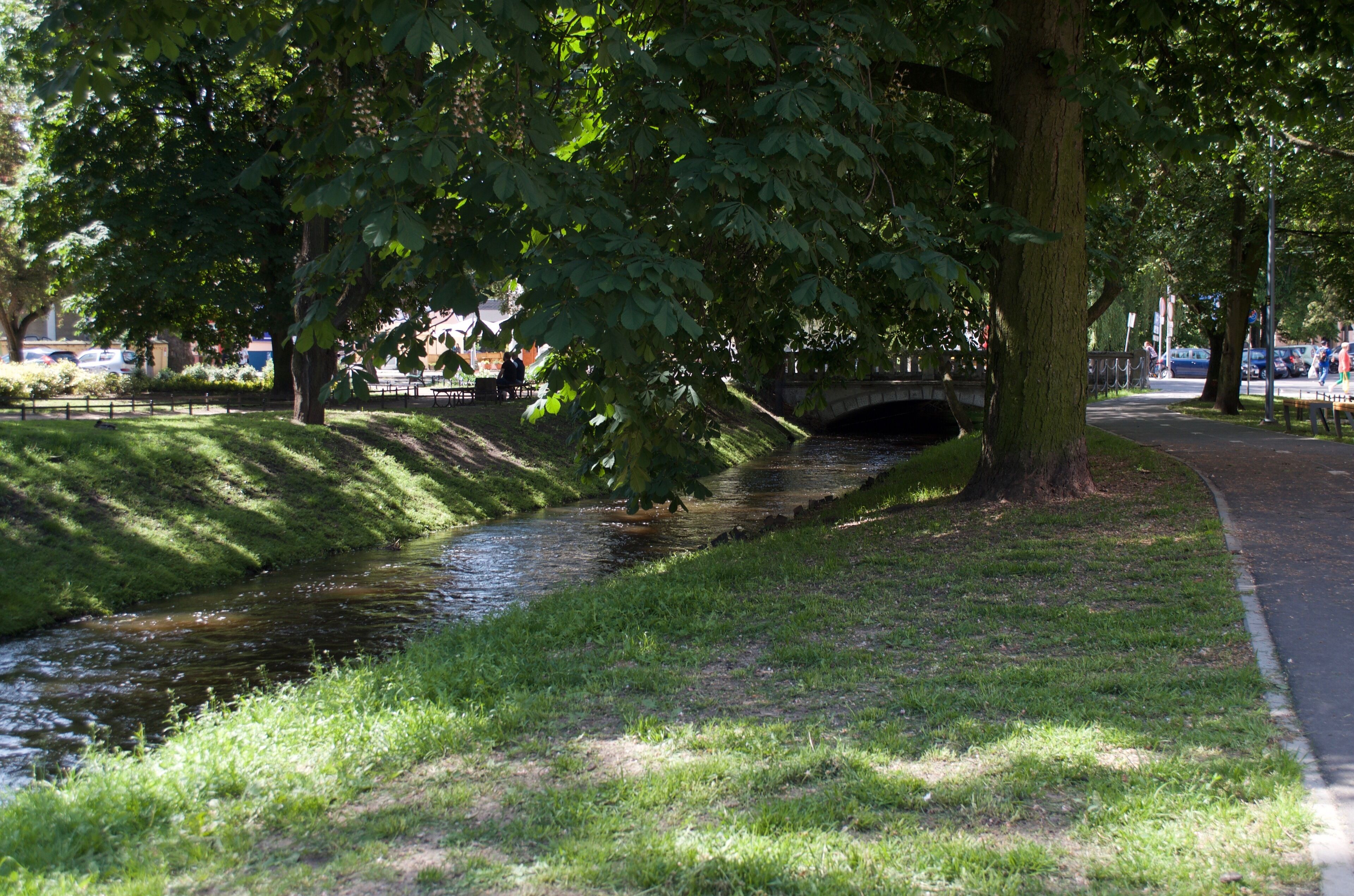 A park with a small stream, trees, and a bridge.