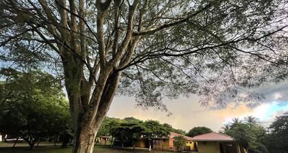 Las Quintas Casas para Vacacionar