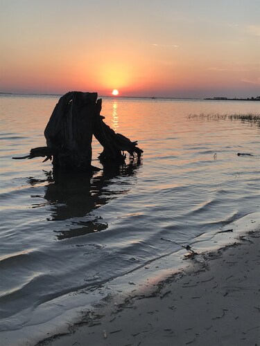 Quaint Cottage - Two Blocks from the Bay