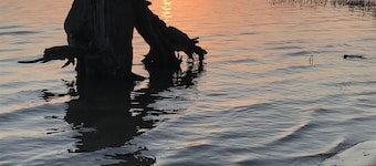 Quaint Cottage - Two Blocks from the Bay