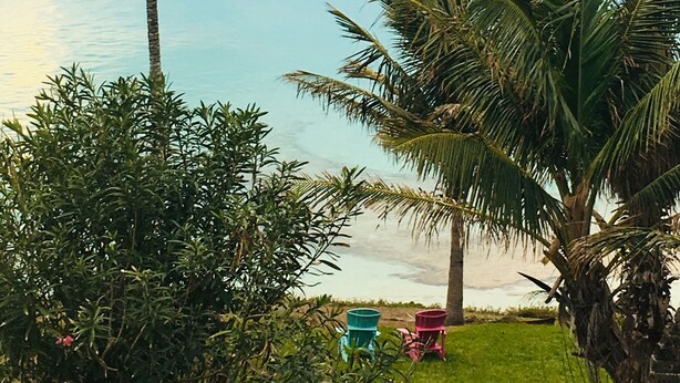 A tropical beach scene with palm trees and a clear view of the ocean. - Paul's Oceanview Apartment with Amazing Sunsets + Twizy Charger (Sandy's)