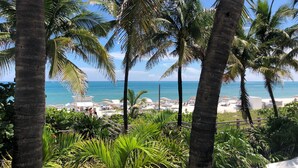 Vista de playa con palmeras y cielo despejado.