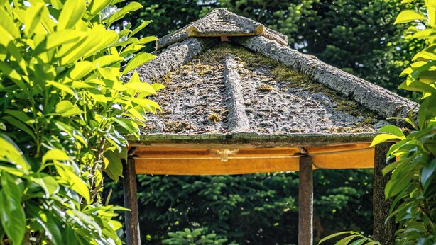 A wooden gazebo with a table set for dining, surrounded by greenery. - Gite La Tour - Cocoon for 2 with pool and nature (Saint-Geyrac)