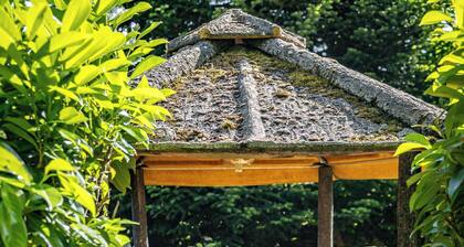 Gite La Tour - Cocon pour 2 avec piscine et nature