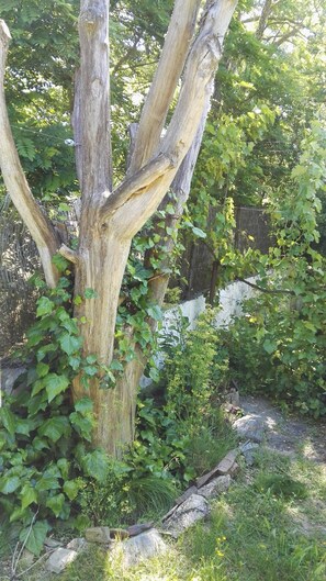 Garden - El Condado Casa Rural (Fuentes de Onoro)