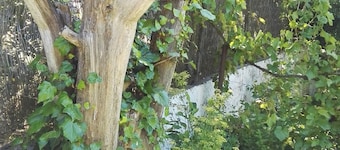 El Condado Casa Rural