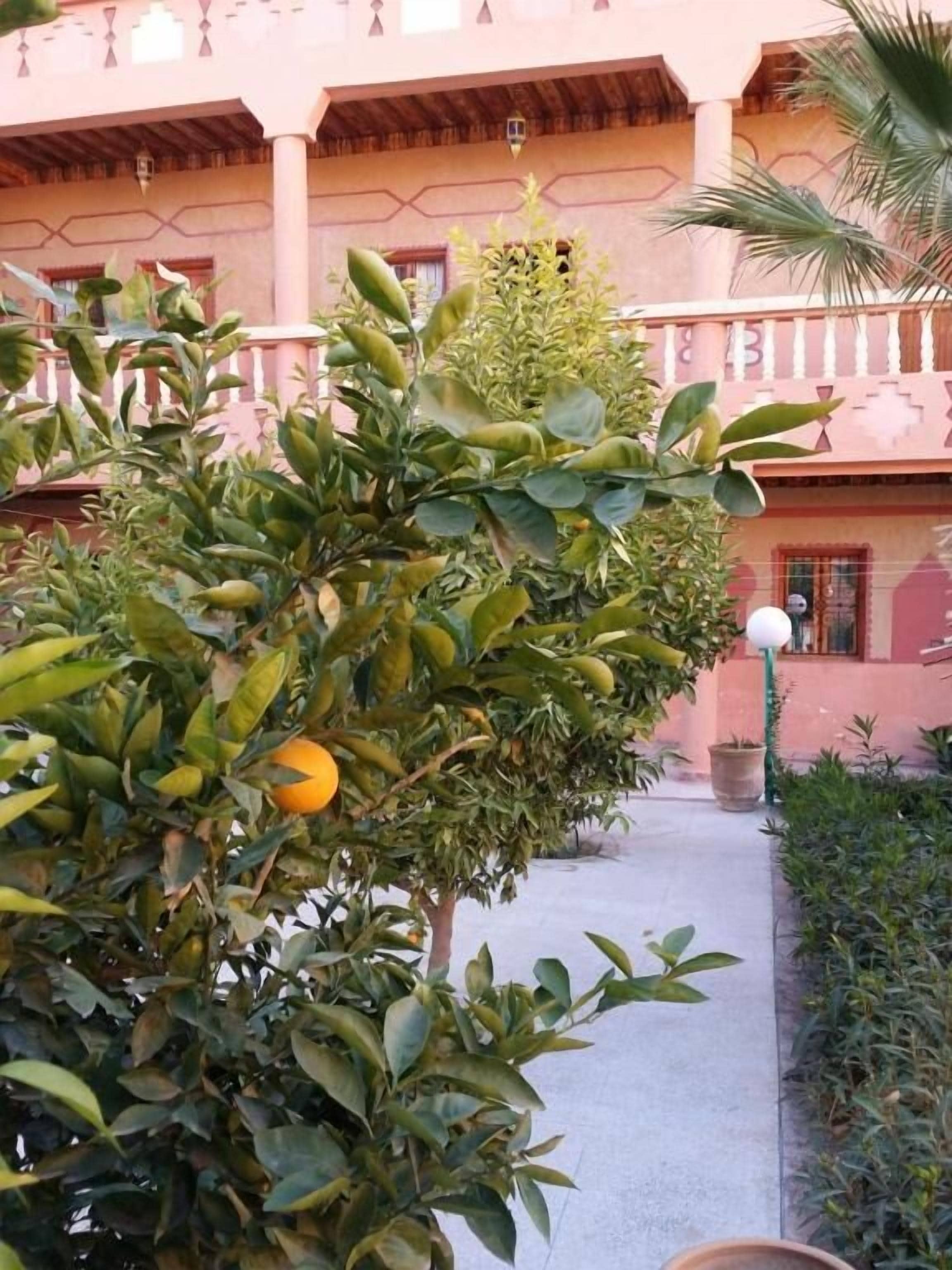 Ein Weg, der zu einem Gebäude mit roséfarbener Fassade und einem Baum mit grünen Blättern und einer orangefarbenen Frucht führt.
