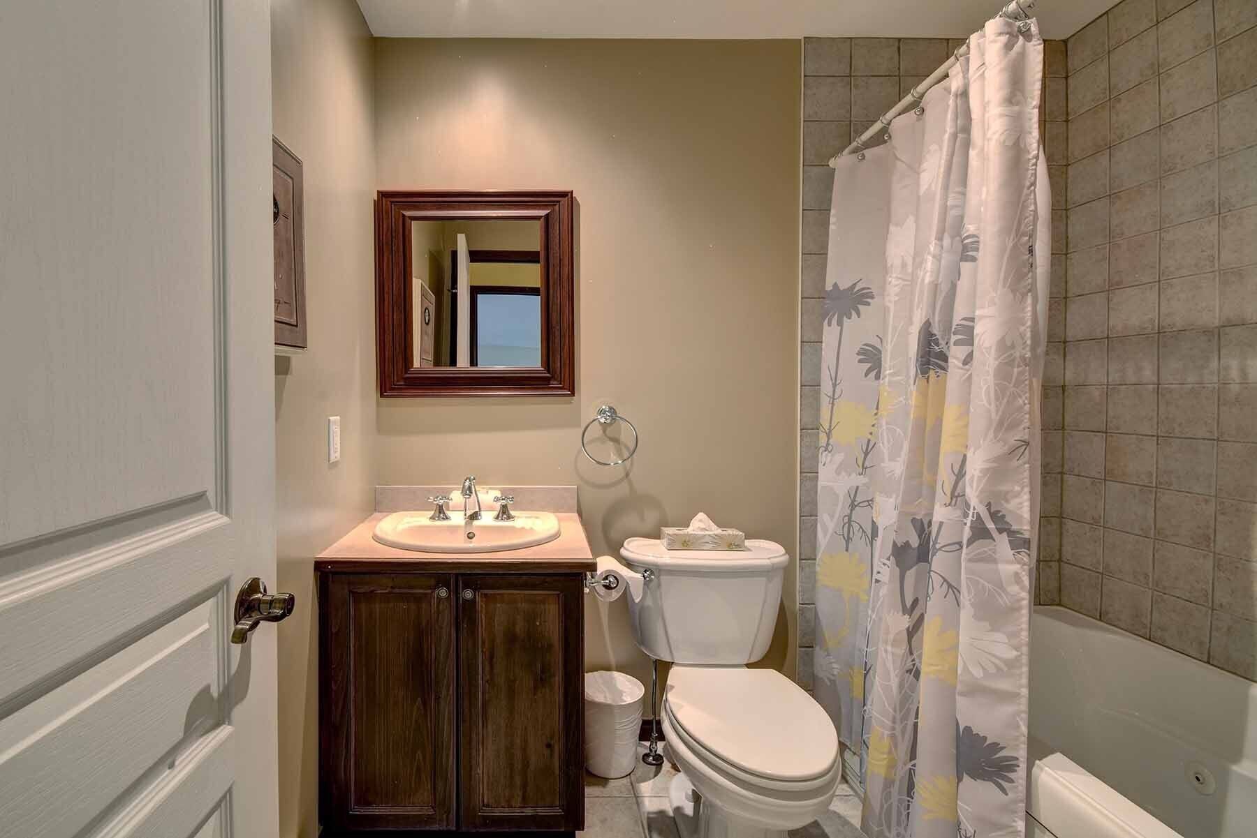 Un bagno con un mobile vanitario in legno, un lavandino, un water e una tenda da doccia.