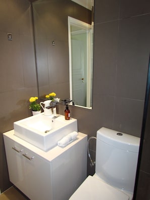 Apartment, 2 Bedrooms | Bathroom | Shower, free toiletries, hair dryer, bathrobes