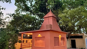 Vườn