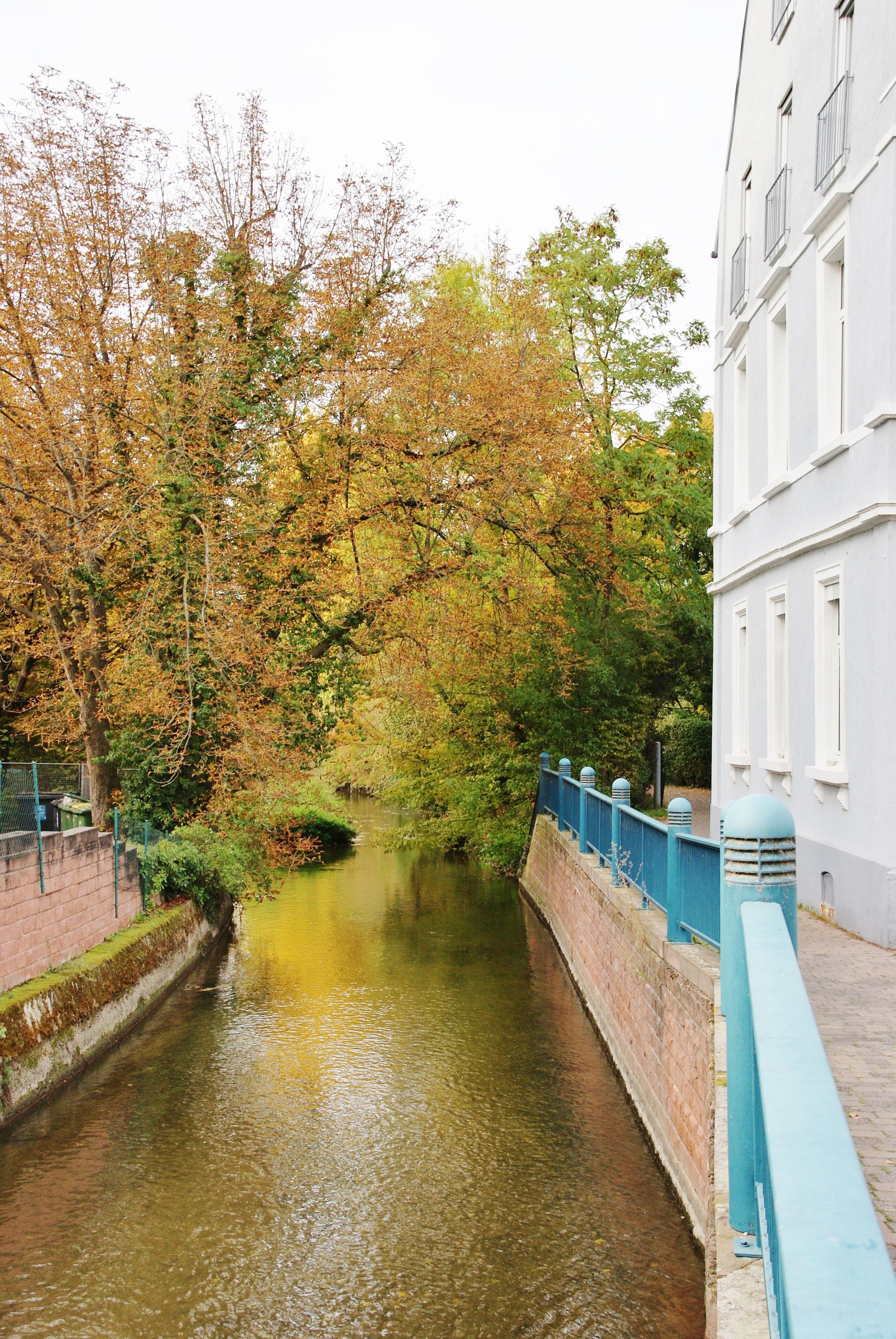 Photo - Taste Hotel Hockenheim