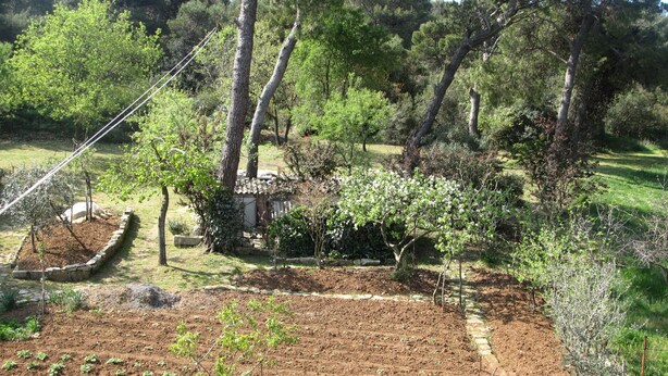 A garden with a variety of plants and trees, a small structure, and a well-maintained vegetable patch. - Apartment Grgorinic (Pula)