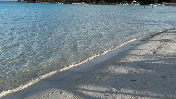 A beach with clear water, a sandy shore, and a forested hill in the background. - Hotel Villa Mare (Posada)