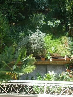 View from room