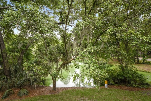 House | Property grounds