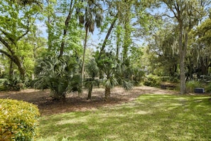 House | Property grounds
