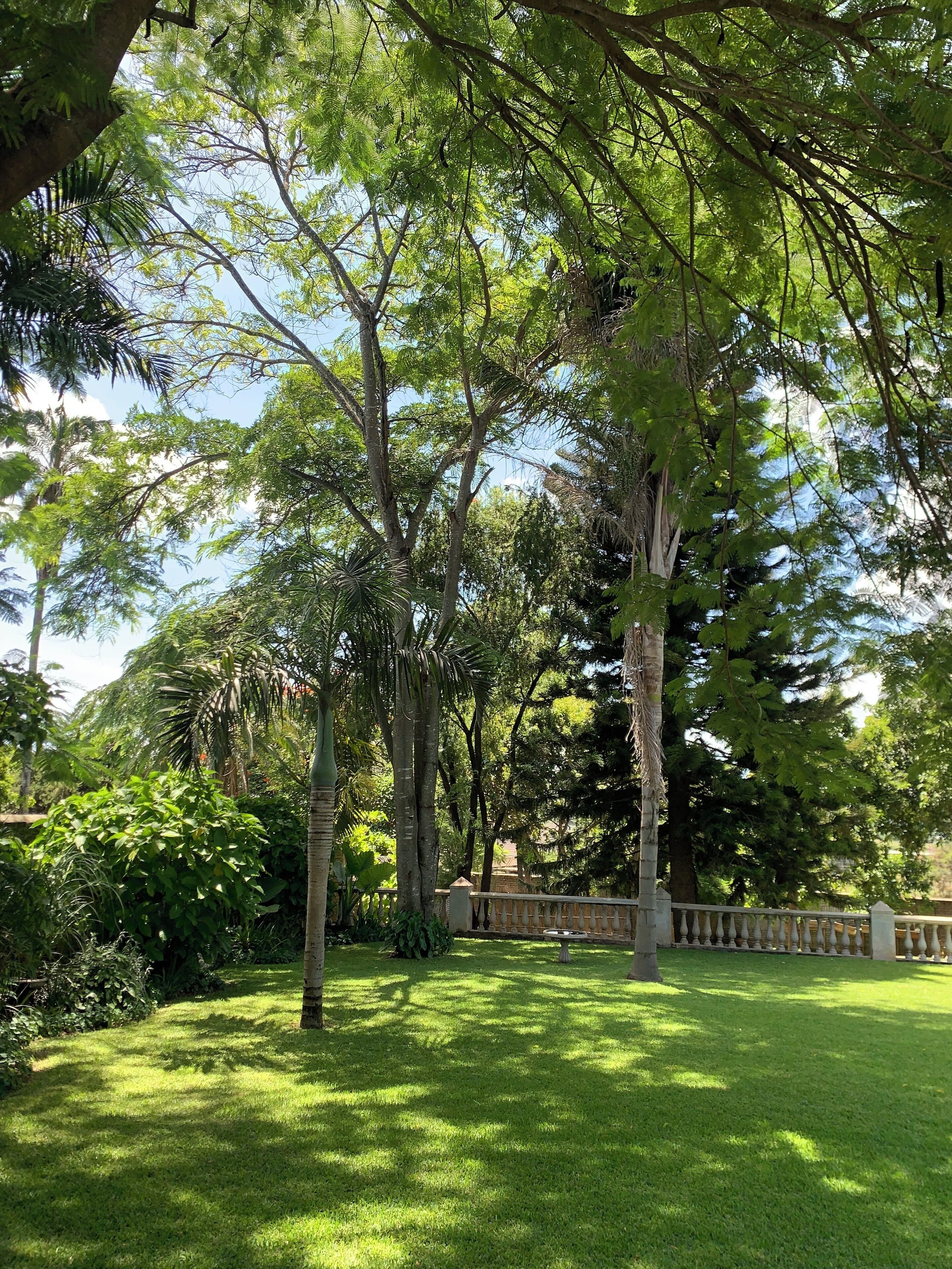 A lush garden with a variety of trees and a well-maintained lawn.