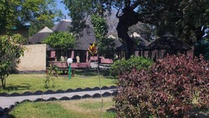 A courtyard with thatched-roof structures, a bench, and a small tree. - Nalumba 2 Lodge (Mongu)