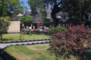 Garden - Nalumba 2 Lodge (Mongu)