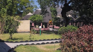 Jardín