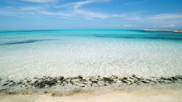 Playa en los alrededores 