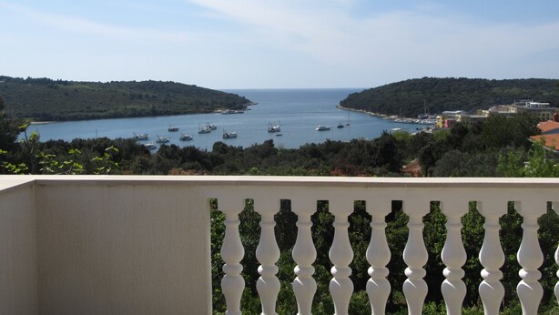 Vista costera con barcos en el agua, vegetación y edificios a lo lejos.